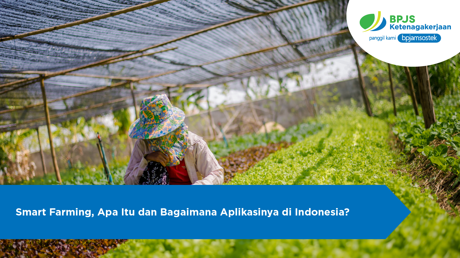 Smart Farming, Apa Itu dan Bagaimana Aplikasinya di Indonesia?